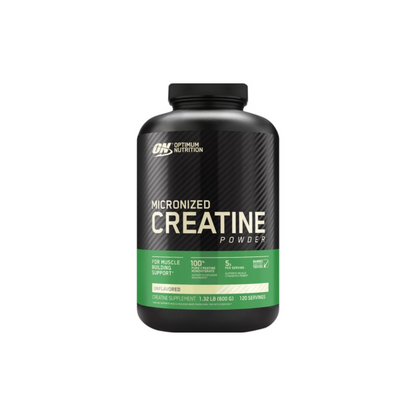 Optimum Nutrition Micronized Creatine Powder